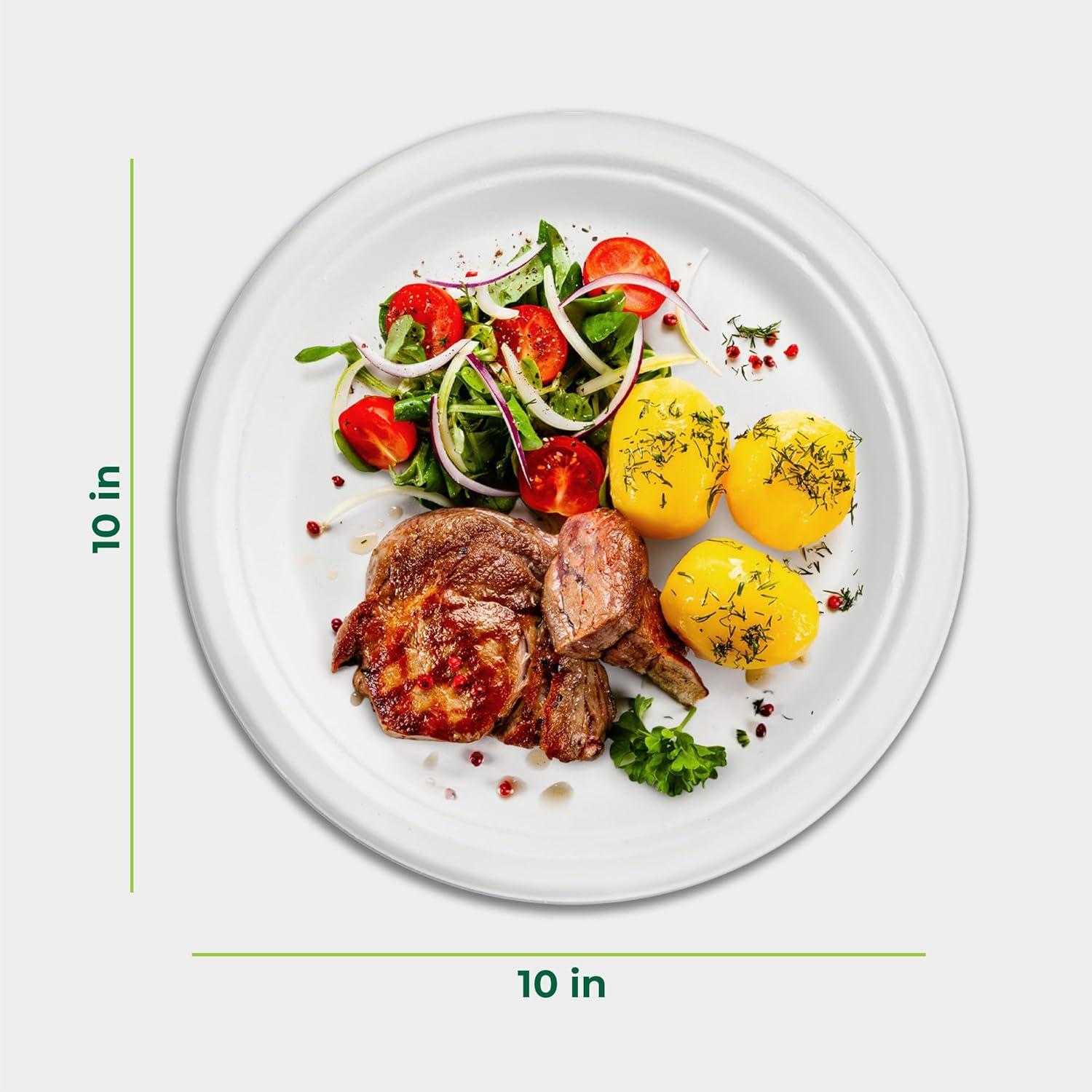 imageFreshware Paper Plates Disposable 10quot Plate 125Pack Biodegradable Sugarcane Fiber Dinner Plates Heavy Duty Dinnerware for Hot Food Microwave ampamp Freezer Safe Stackable Dinnerware10 Inch 150Pack