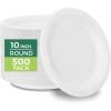 10 Inch  500 Pack